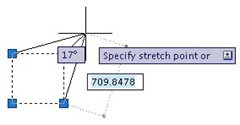 stretch vertex stretch vertex