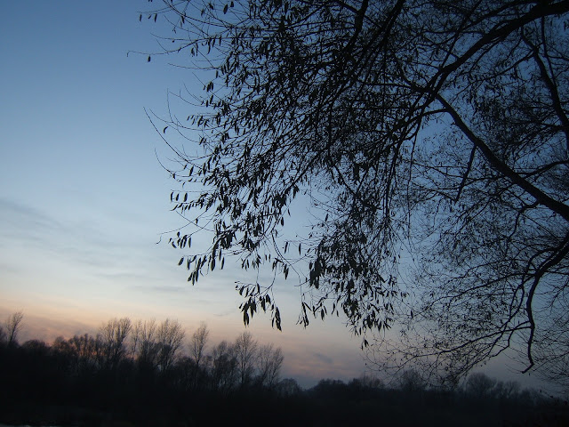 http://lh3.ggpht.com/_Uq9isq8sJwQ/TPgM1zkj5cI/AAAAAAAAAOI/HaBbncy_uxY/s640/DSCF7413.JPG