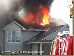 Fire (15)