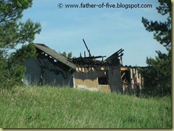 Fire (21)