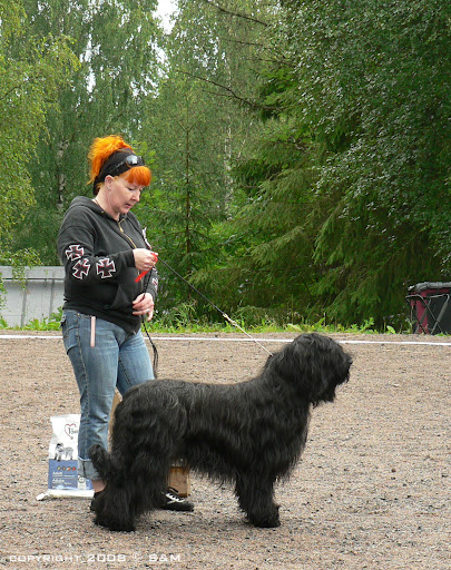 nuo