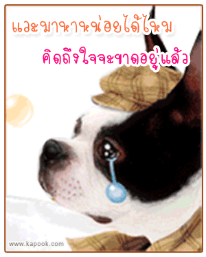 คลิกๆๆ รูปสวยๆน่ารักๆไว้ส่งต่อเพียบ...
