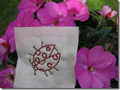 IMG_4086 IMG_4086