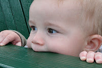 IMG_5083.JPG
