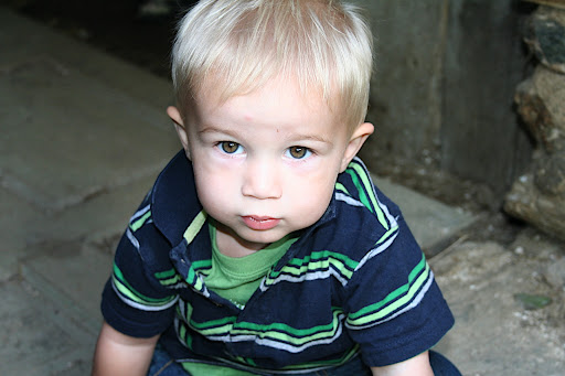 IMG_0378.JPG copy