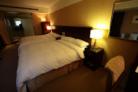 IMG_0229_20080215.JPG
