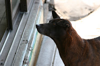 IMG_5320.JPG