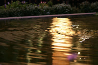 IMG_6543.JPG