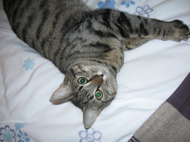 Upside down Max
