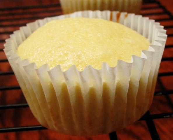 [cupcake[4].jpg]