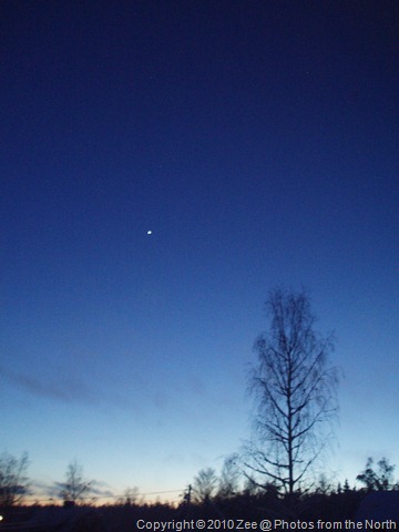 [naturestudies05611.jpg]
