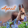 [April squirrel by magic_art[4].png]
