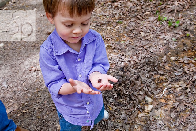[LowSpring_2010-460[2].jpg]