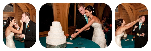 [cakecollage1[2].jpg]