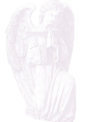 [angelguardian[18].jpg]
