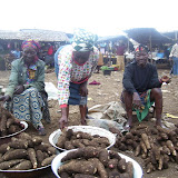 Ekona