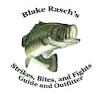 Bites, Strikes, and Fights