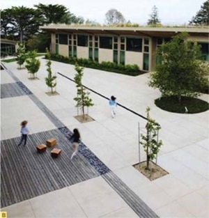 NUEVA SCHOOL, Hillsborough. California