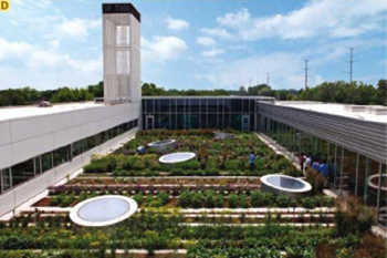 ROOFTOP HAVEN FOR URBAN AGRICULTURE, Chicago