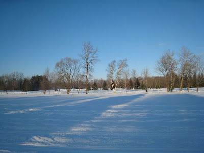 Snow shoeing the golf course