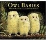 [owlbabies[4].jpg]