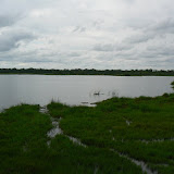 Dombo Hippo Pool near North Gate, Moremi,  No hippo.