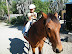 Gwyneth and Sammy at African Animal Adventure Stables, Maun