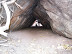 Rock tent.