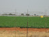 Centre-pivot irrigation in Limpopo Province, South Africa.