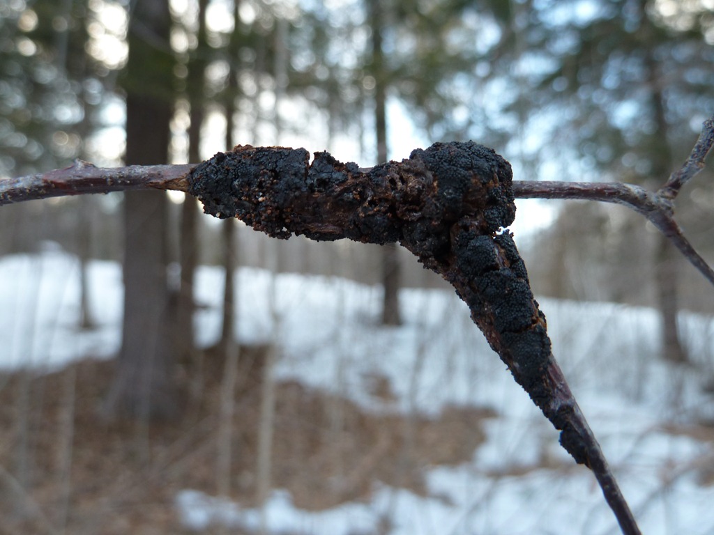 [P1040977[5].jpg]