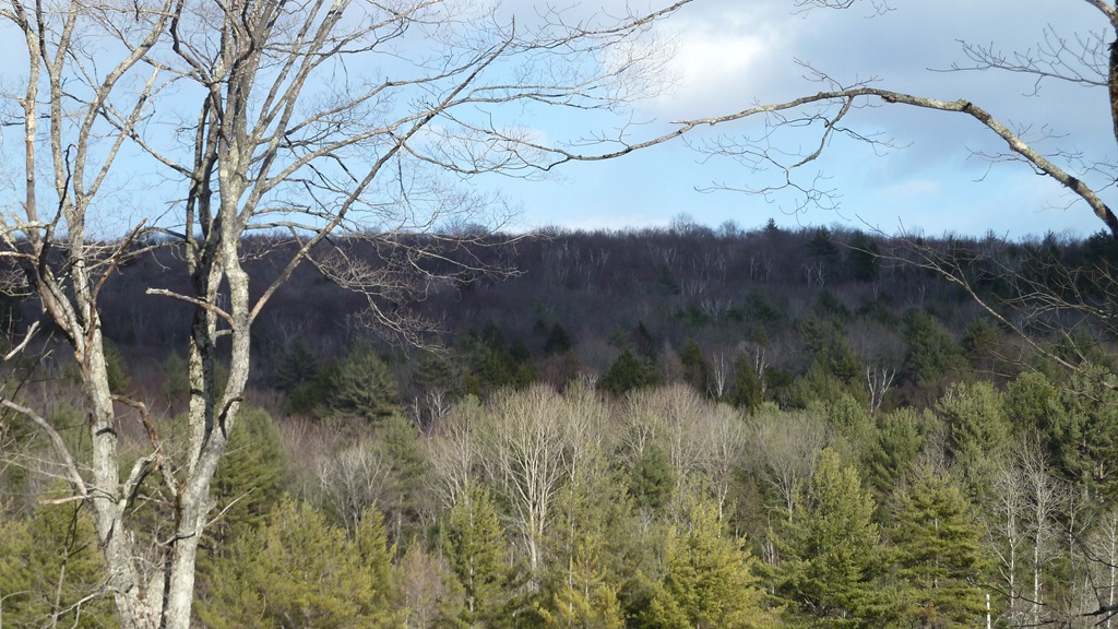 [P1040947[4].jpg]