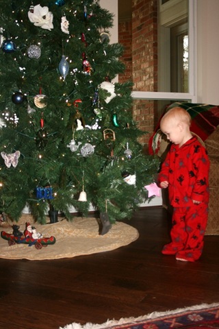 [Copy of IMG_8591[3].jpg]