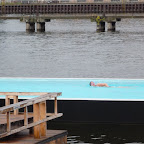 【視察】BADESCHIFF / Treptowerpark, Berlin