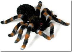 remote-control-tarantula