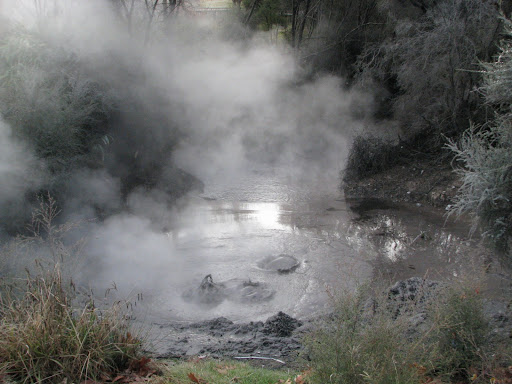 IMG_8652.JPG