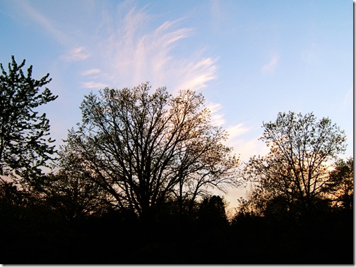 2007_0510_182908AA