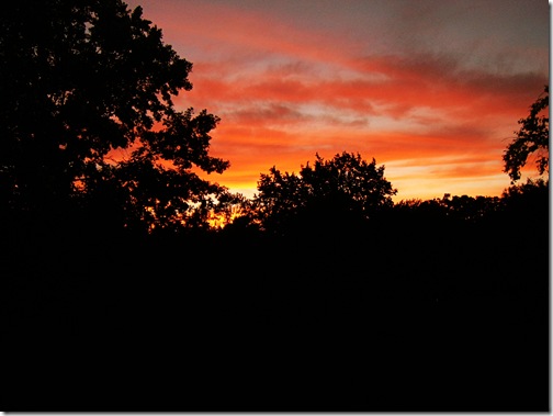 2007_0628_191131AA