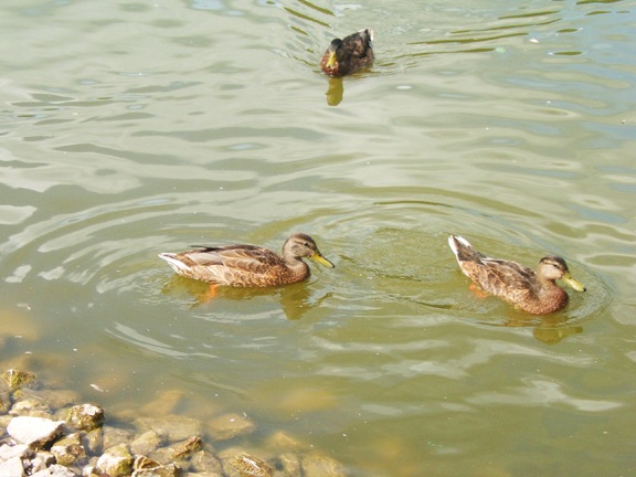 [2007_0713_143611AA[10].jpg]