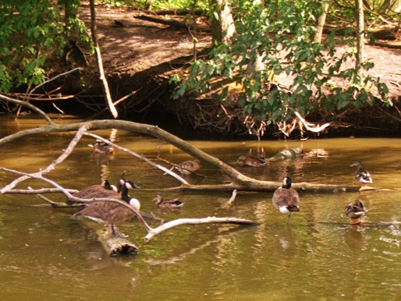 [2007_0713_145739AA[6].jpg]