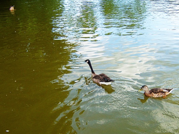 [2007_0713_150251AA[11].jpg]