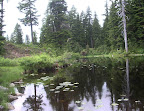 Hollyburn Hike