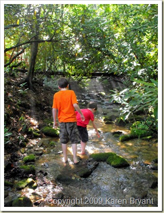 boyscreek1_sm