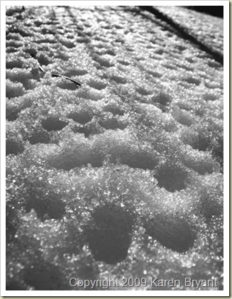 snowcloseup_sm