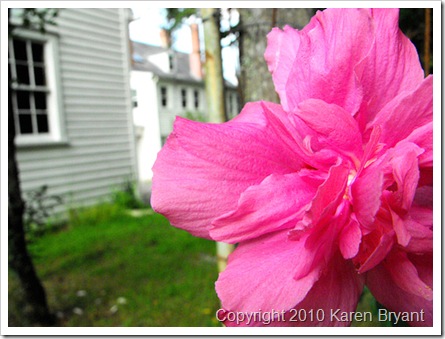 flower2_sm