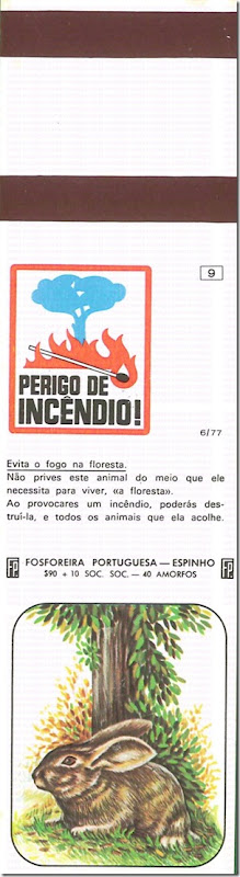 filuminismo perigo incendio santa nostalgia 9