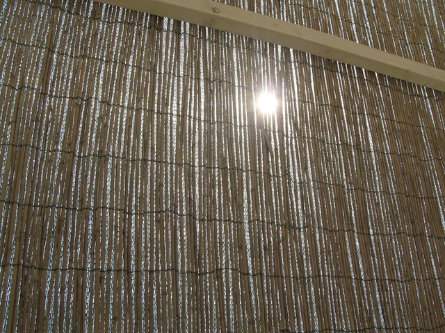 [forte dei marmi 2010 066.jpg]