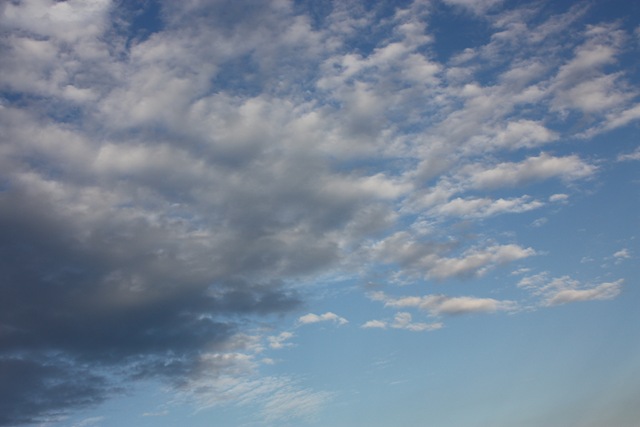 [IMG_07283.jpg]
