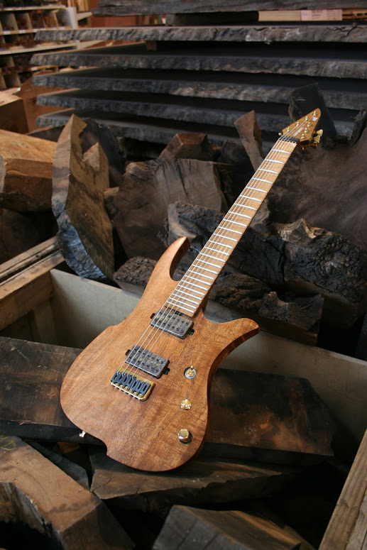 Completed! (Almost... just a bit more fretwork to do after the neck has settled with tension on it for a couple of weeks.) Shot on location at Exotic Woods Inc. http://www.exotic-woods.com