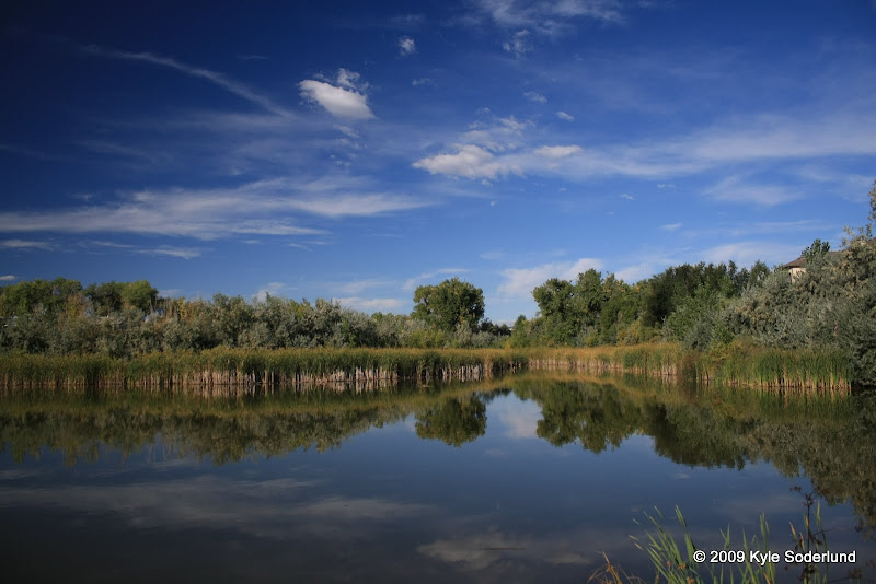 IMAGE: http://lh3.ggpht.com/_V93rniTx6r0/SsoNlOVUCAI/AAAAAAAAAHU/Gsq6CbZO2pg/s800/IMG_0588.JPG