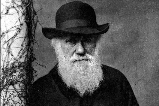[Charles Darwin[3].jpg]